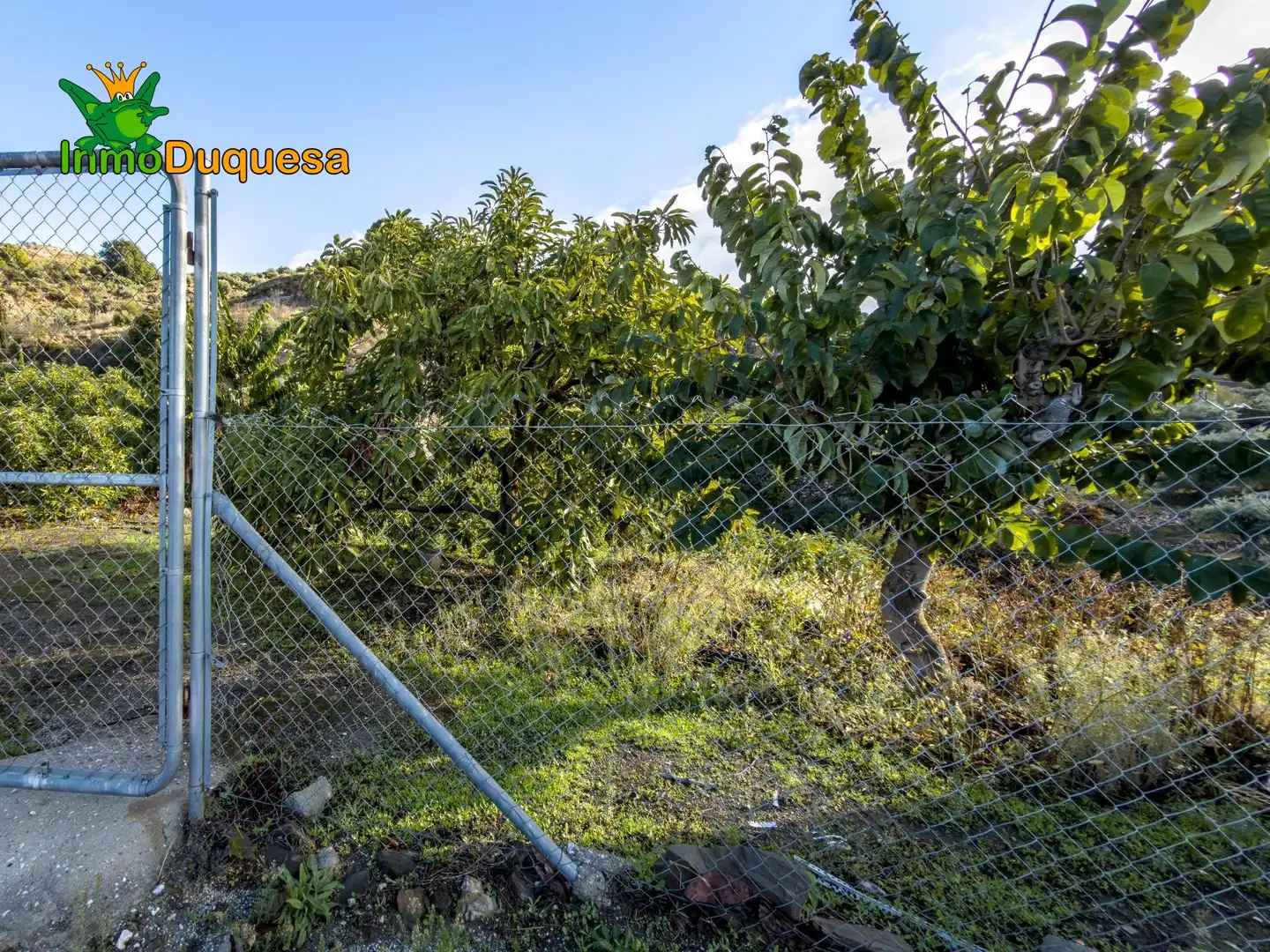 Casa rústica en venta en Calle Diseminados, Pol-8 Par-359 000, imagen 34