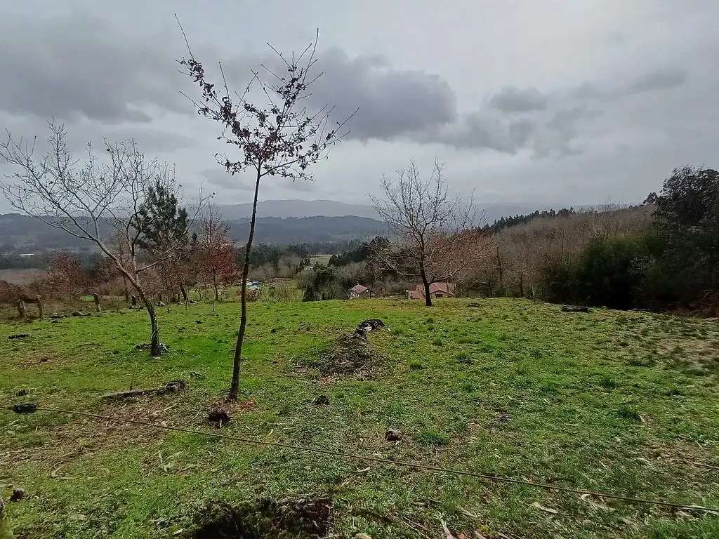 Residencial en venda en A Cañiza  