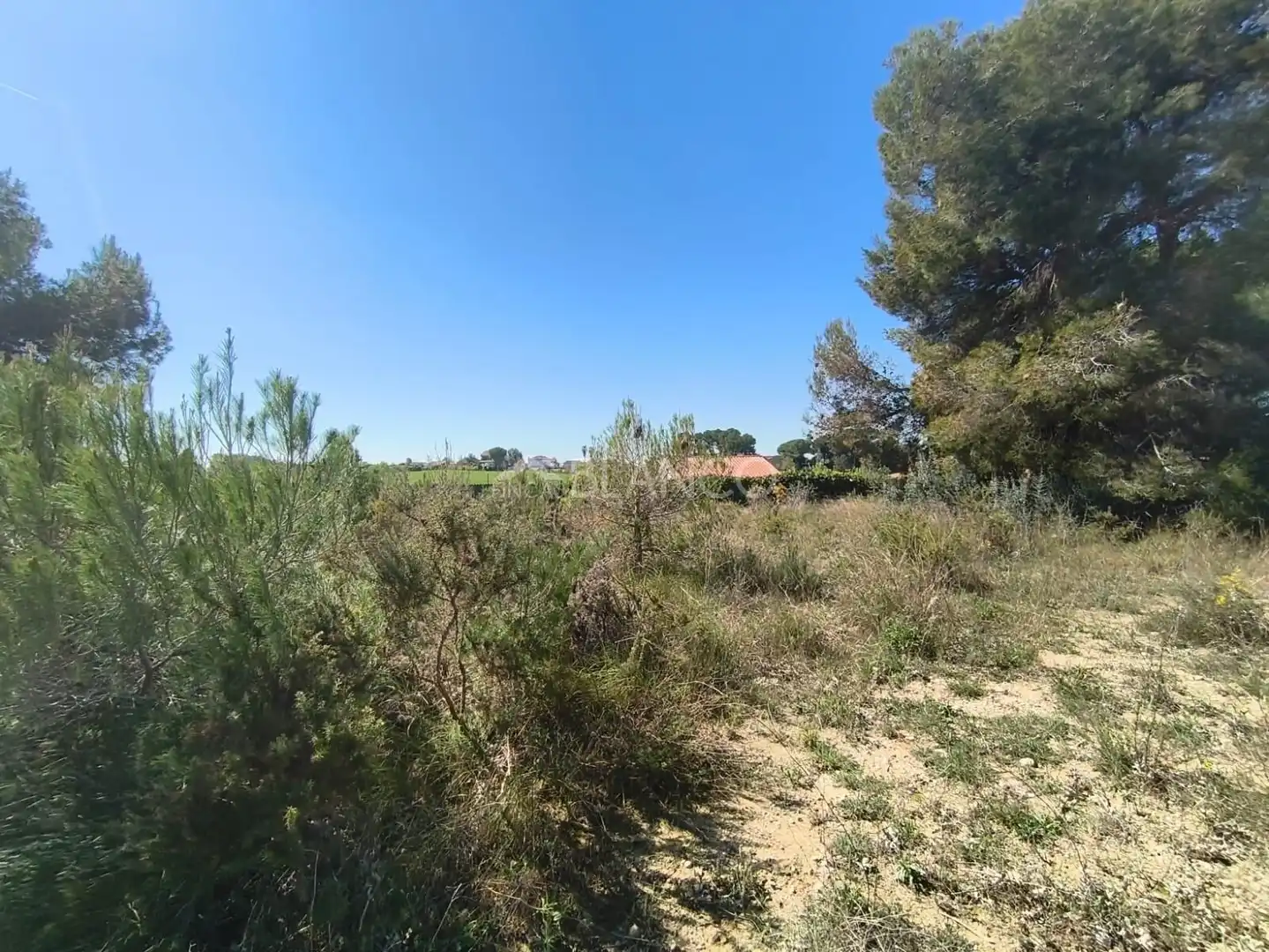 Terreno residencial en venta en Piera, imagen 5