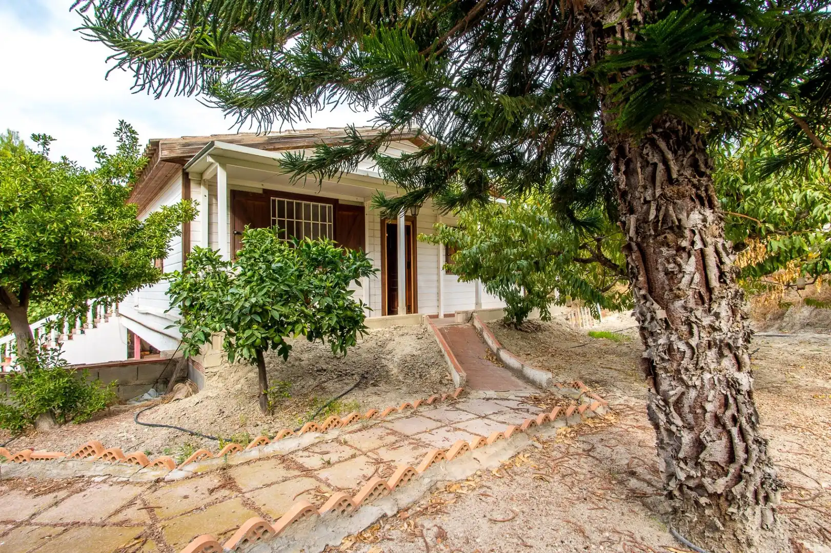 House with terrace for sale in Calle Polígono U2 el Ramel 10, imagen 42
