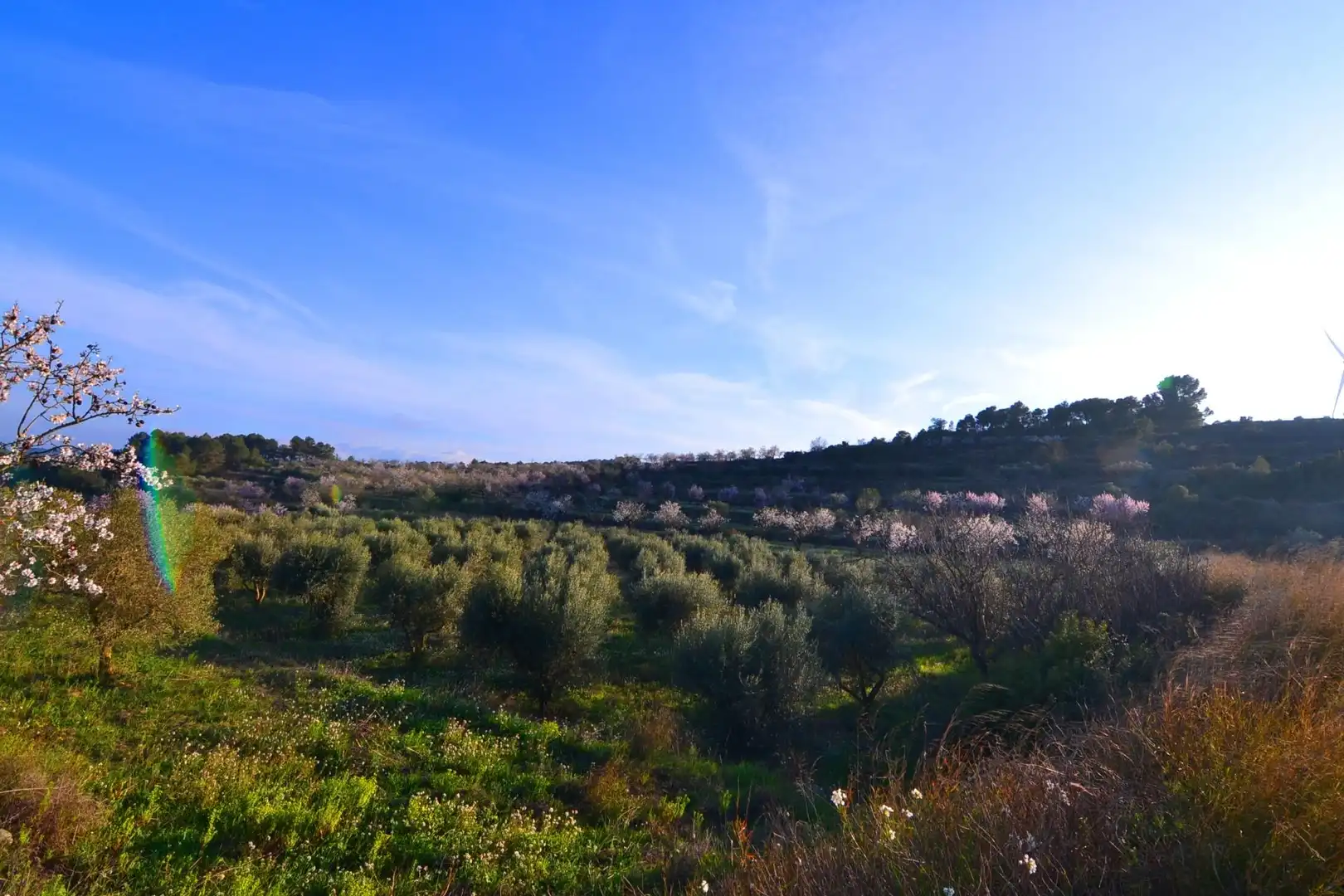 Rural land for sale in Corbera d'Ebre, imagen 5