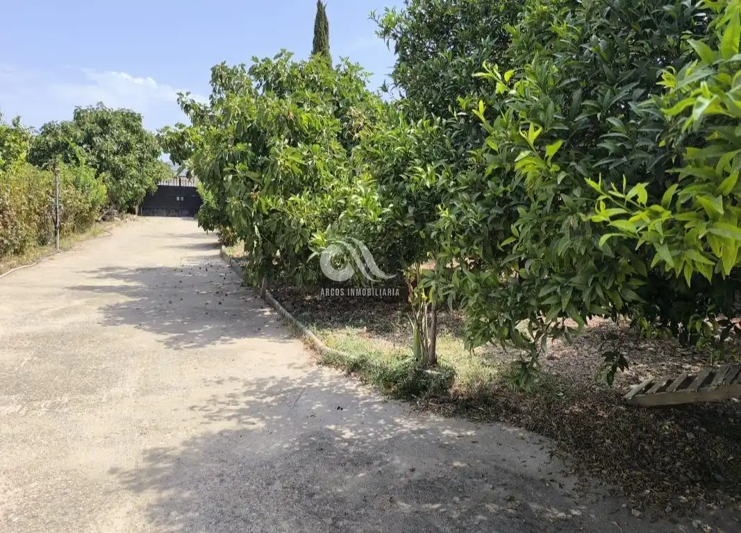 Villa con piscina in vendita a Periurbano Este - Campiña, imagen 7