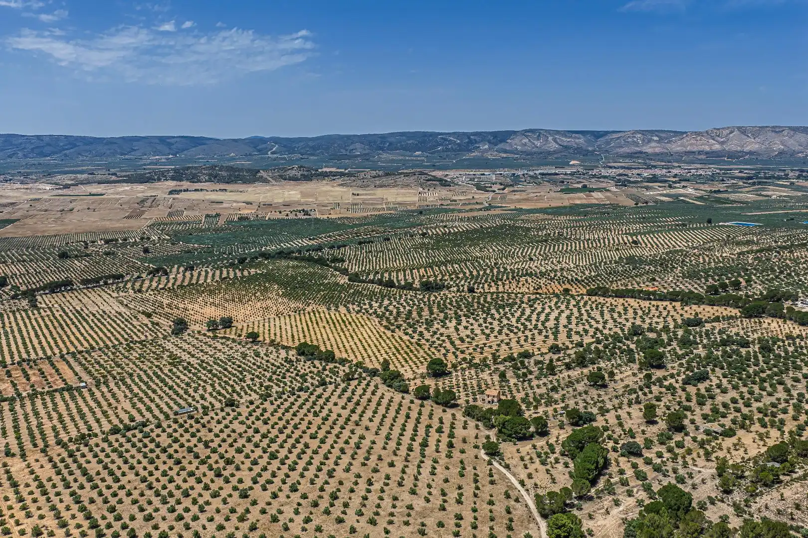 Finca rústica en venda en Biar amb Calefacció, Jardí privat i Terrassa