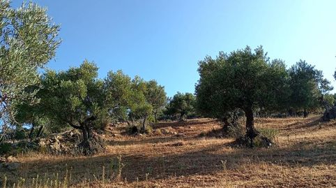 Finca Rúst. en venta en Dehesa Vieja., immagine 5