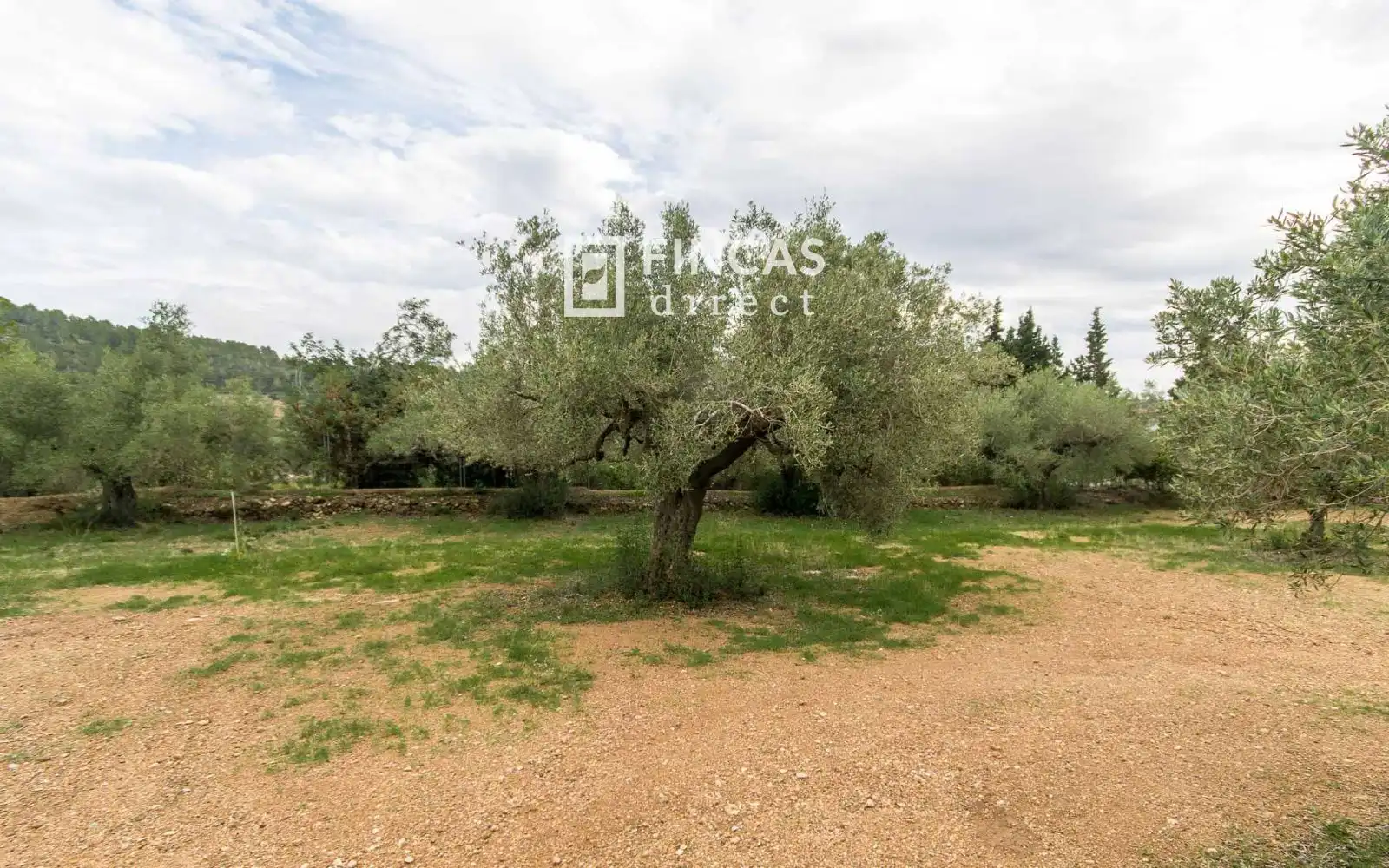 Casa rustica in vendita a RJHQ+43, imagen 28