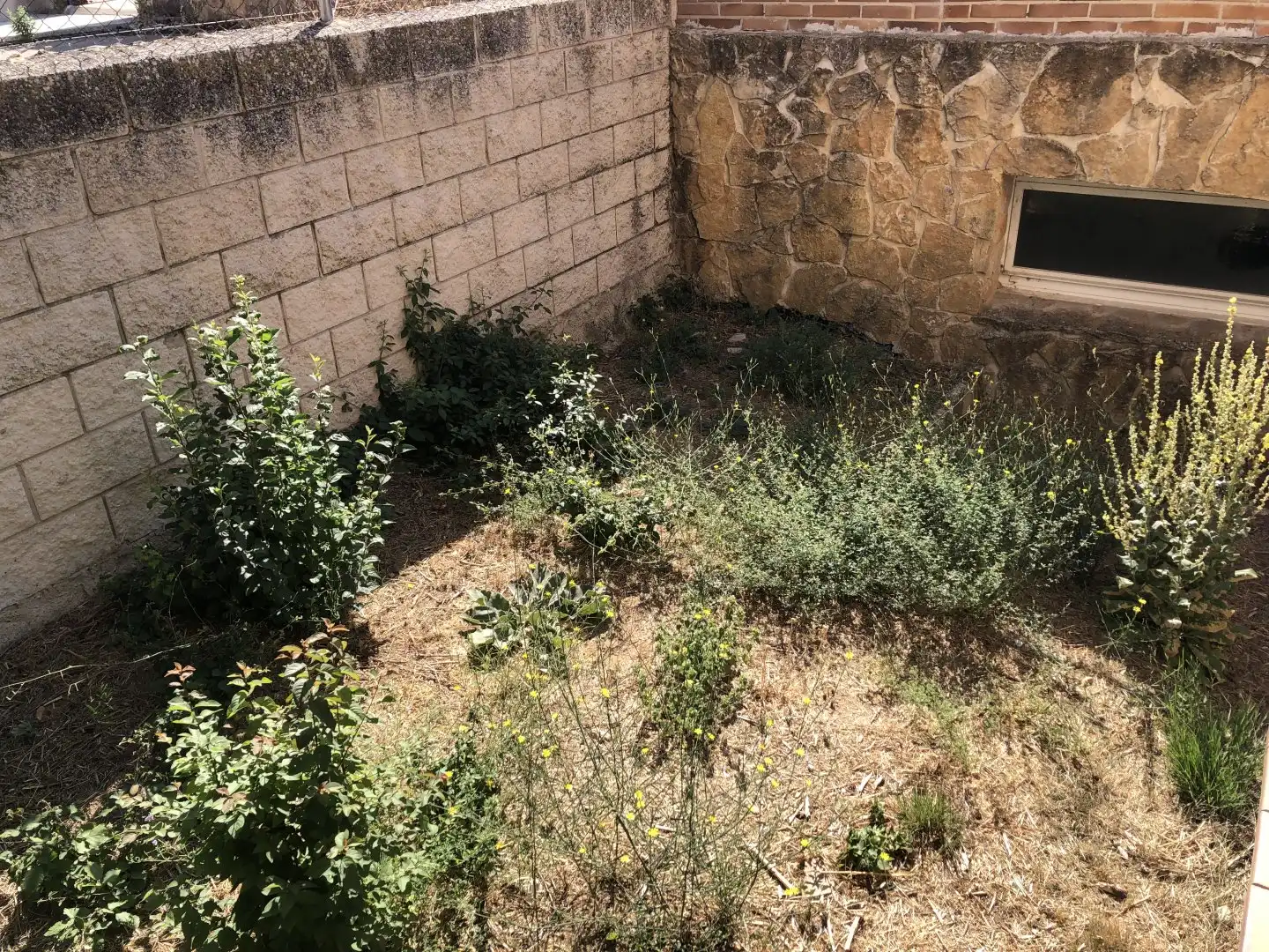 Adossat amb jardí en venda a La Lastrilla, imagen 3