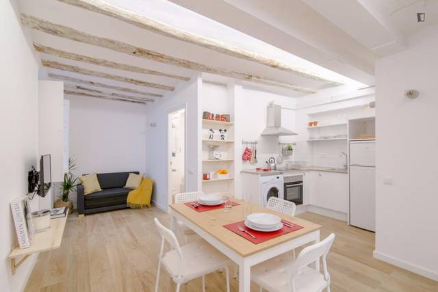 Apartamento en Alquiler en Sant Pere, Sta. Caterina i la Ribera