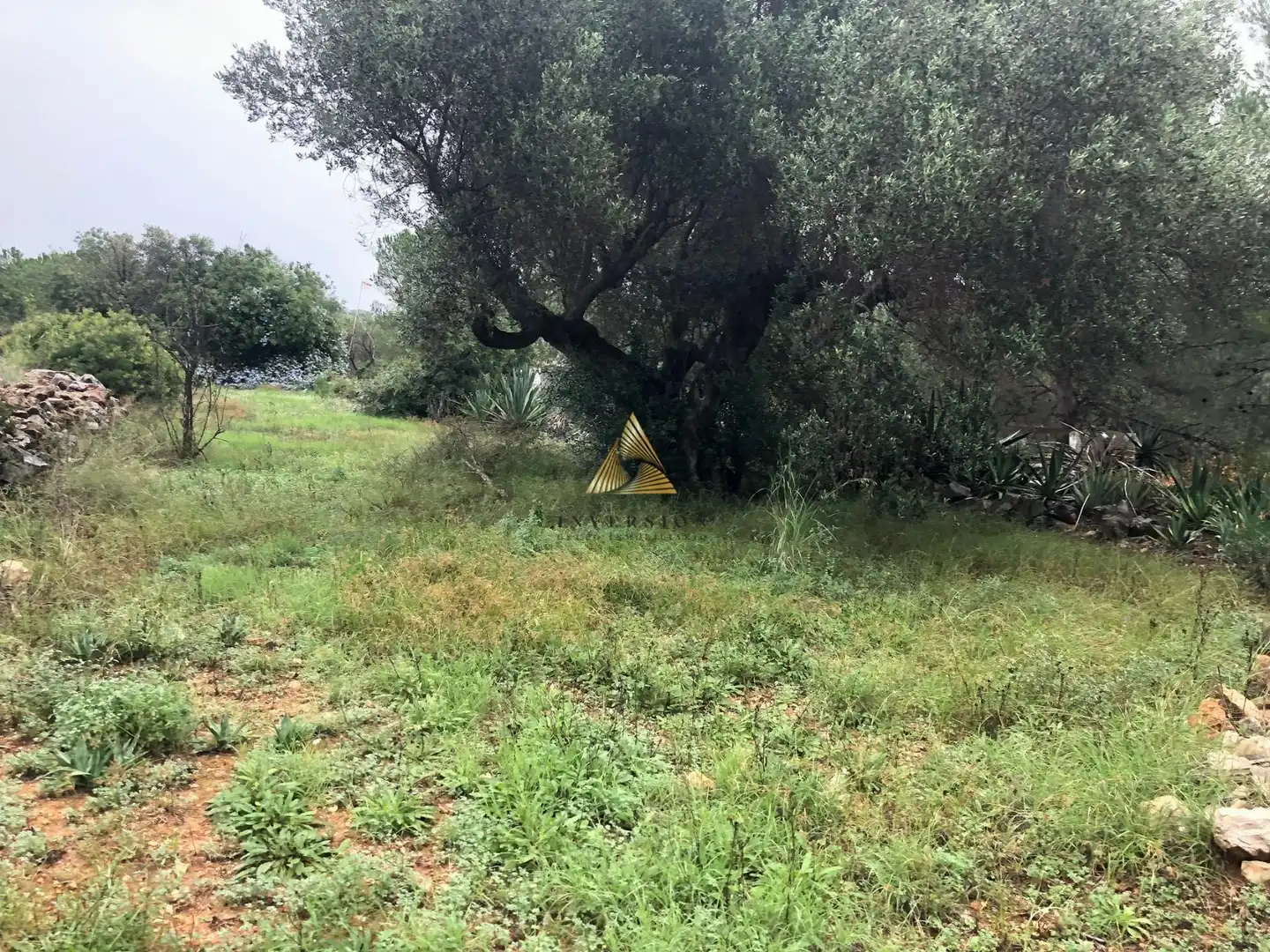 Lands and plots for sale in Las Atalayas - Urmi - Cerro de Mar, imagen 22