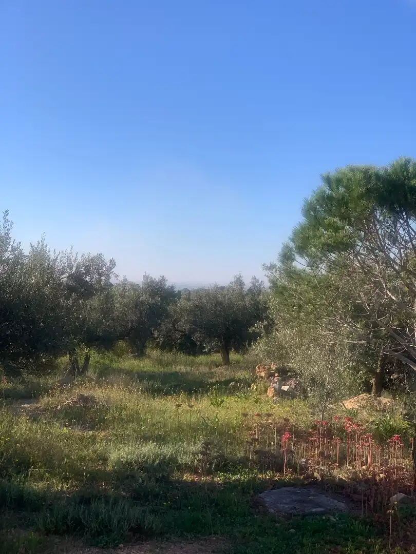 Finca rústica en venda en Camarles