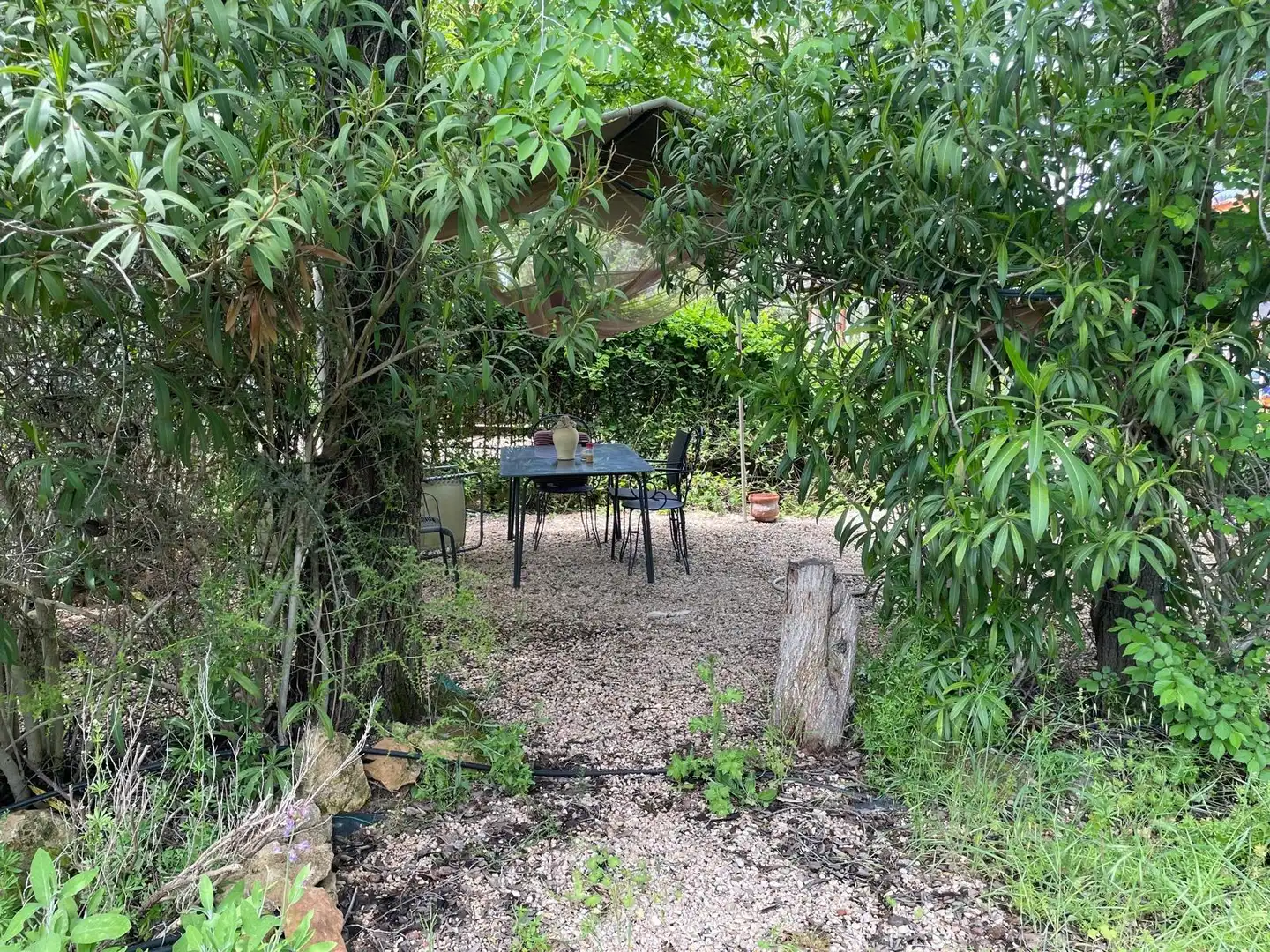 Jardí de Finca rústica en venda en Carrión de Calatrava amb Calefacció, Terrassa i Traster