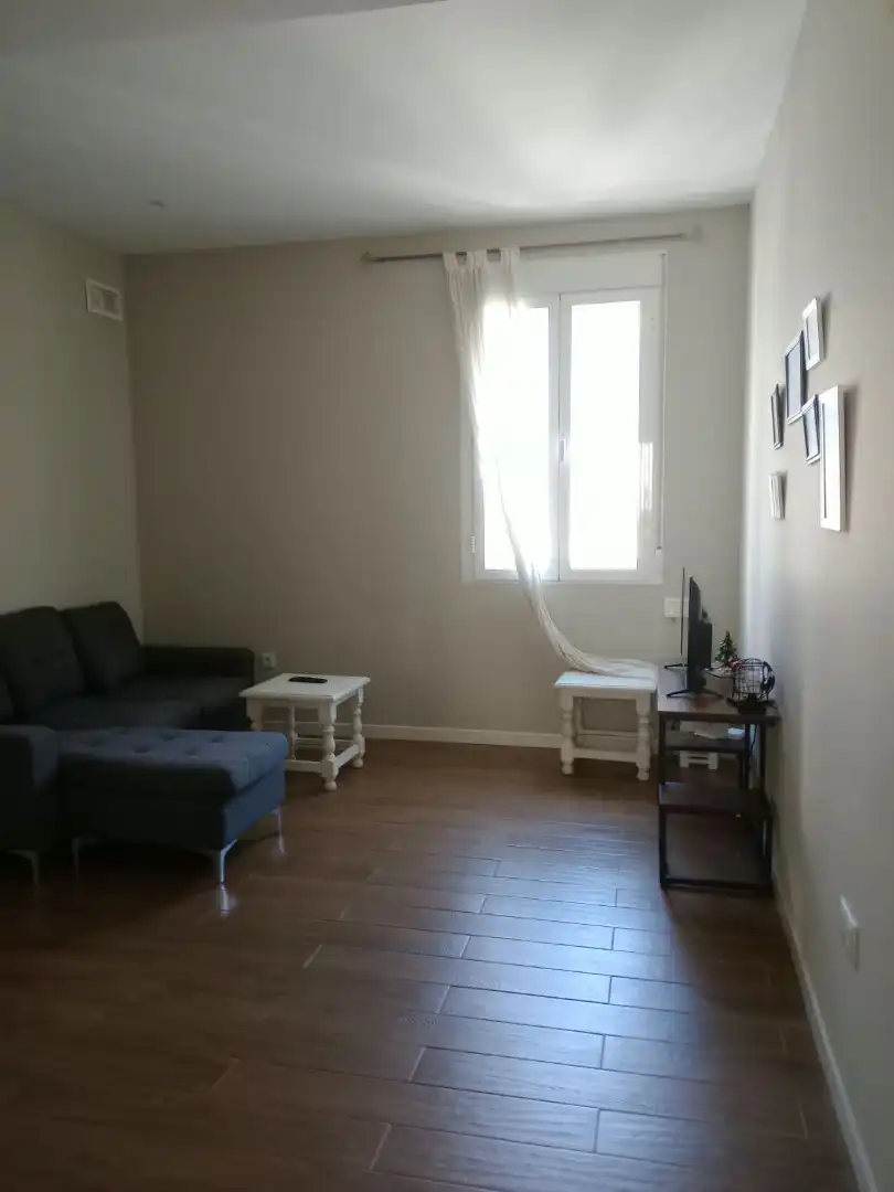 Living room of Flat for rent in Centro