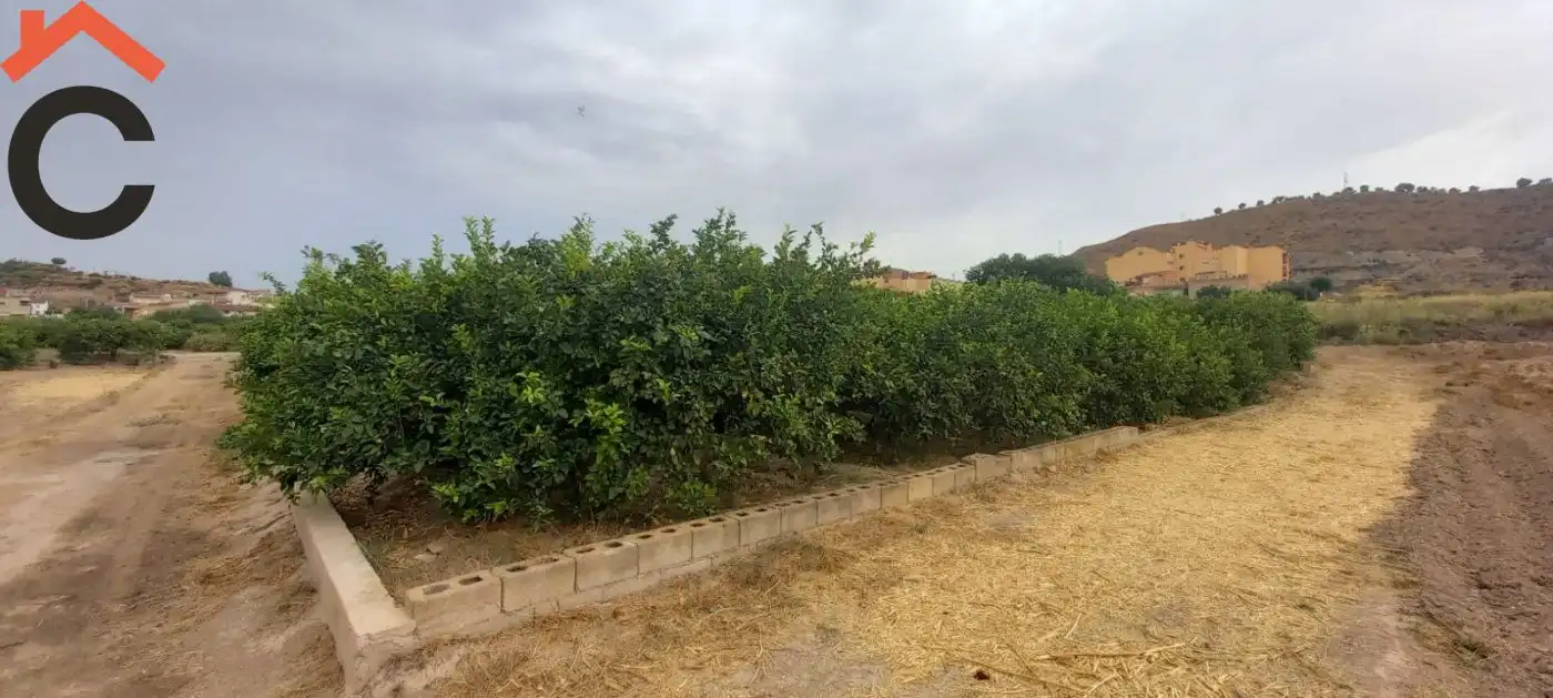 Terreny rústic en venda a Pedanías Norte