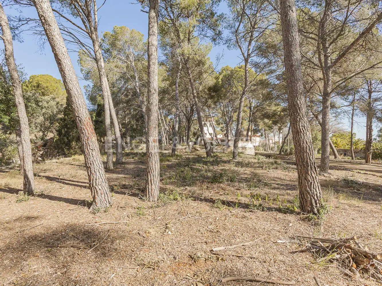 Maison à vendre à Passatge dels pins, imagen 19