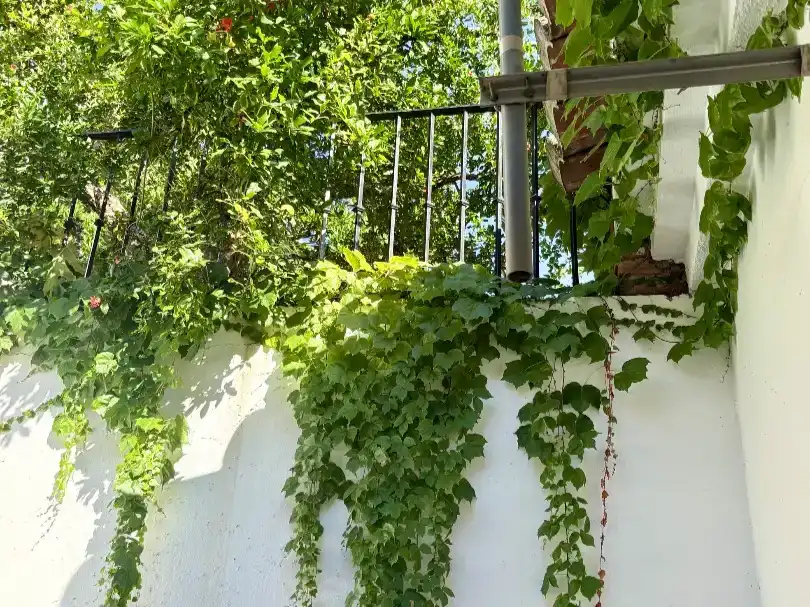 Balcony of Flat for rent in Beiro