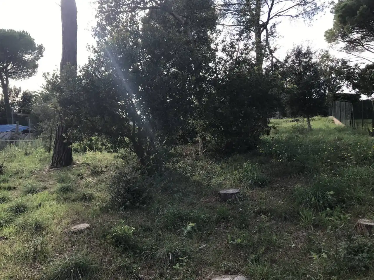 Terreno residencial en venta en Can Martí de les Barraques, imagen 6