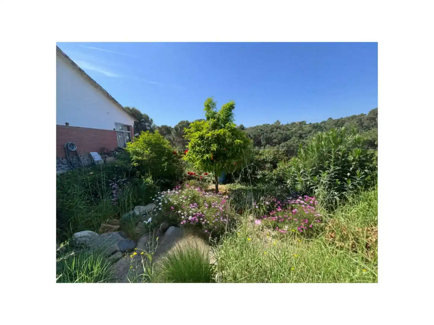 Jardí de Casa o xalet en venda en Lliçà d'Amunt amb Jardí privat, Traster i Piscina