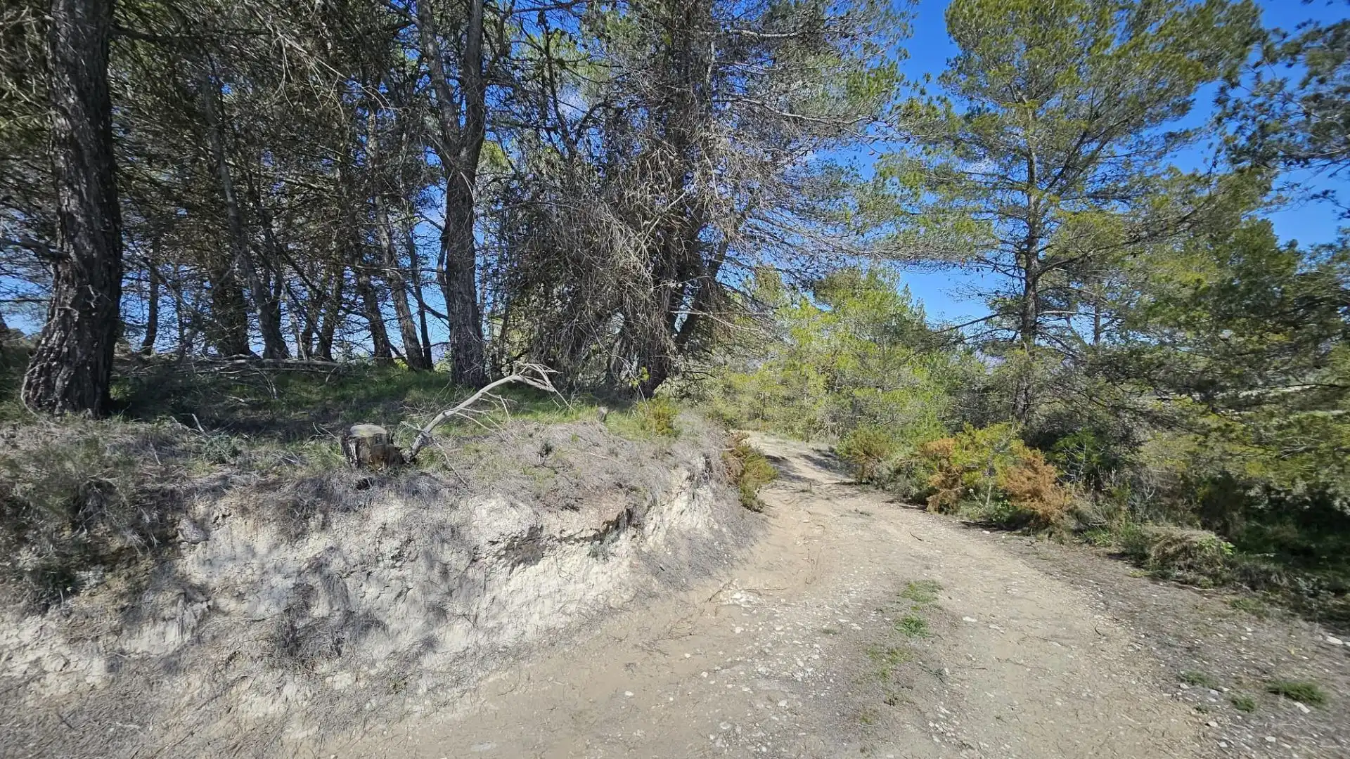 Terrain rustique à vendre à Millena, imagen 31