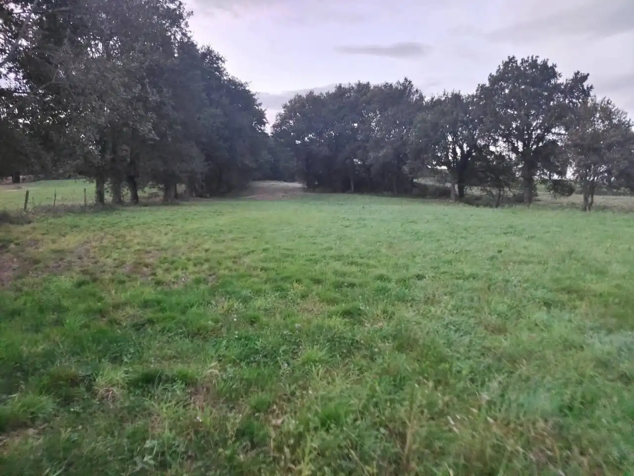 Terrain résidentiel à vendre à Santa María de Cayón, imagen 4