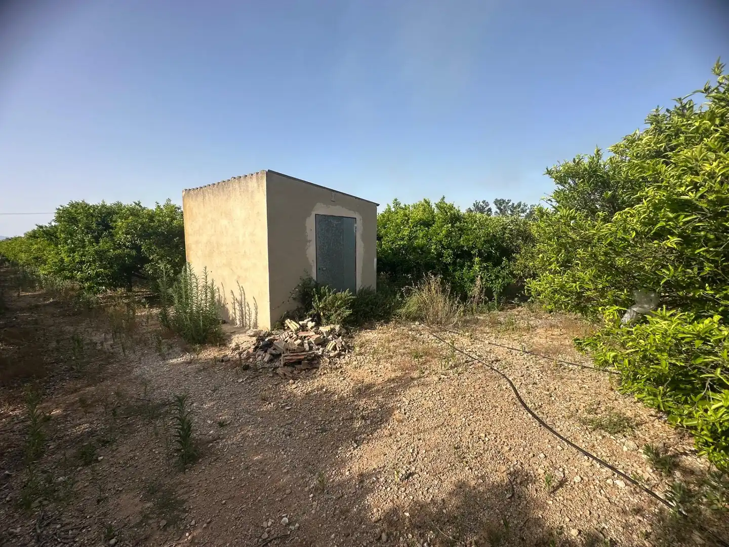 Rural land for sale in Masdenverge, imagen 18