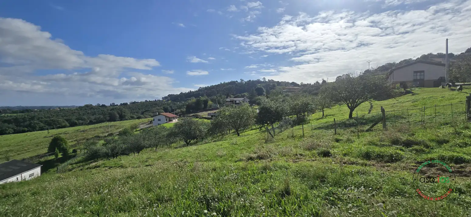 Terreny residencial en venda a Peón - Coto de la Castañera, Curviellu S/N, imagen 18