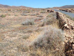 Photo 5 of Land for sale in Calle San Antonio, 28, Tiscamanita, Las Palmas