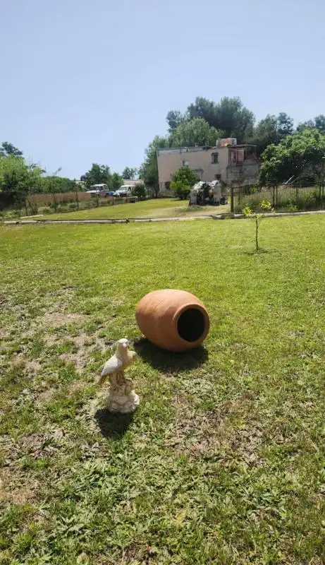 Jardí de Finca rústica en venda en Oliva amb Calefacció