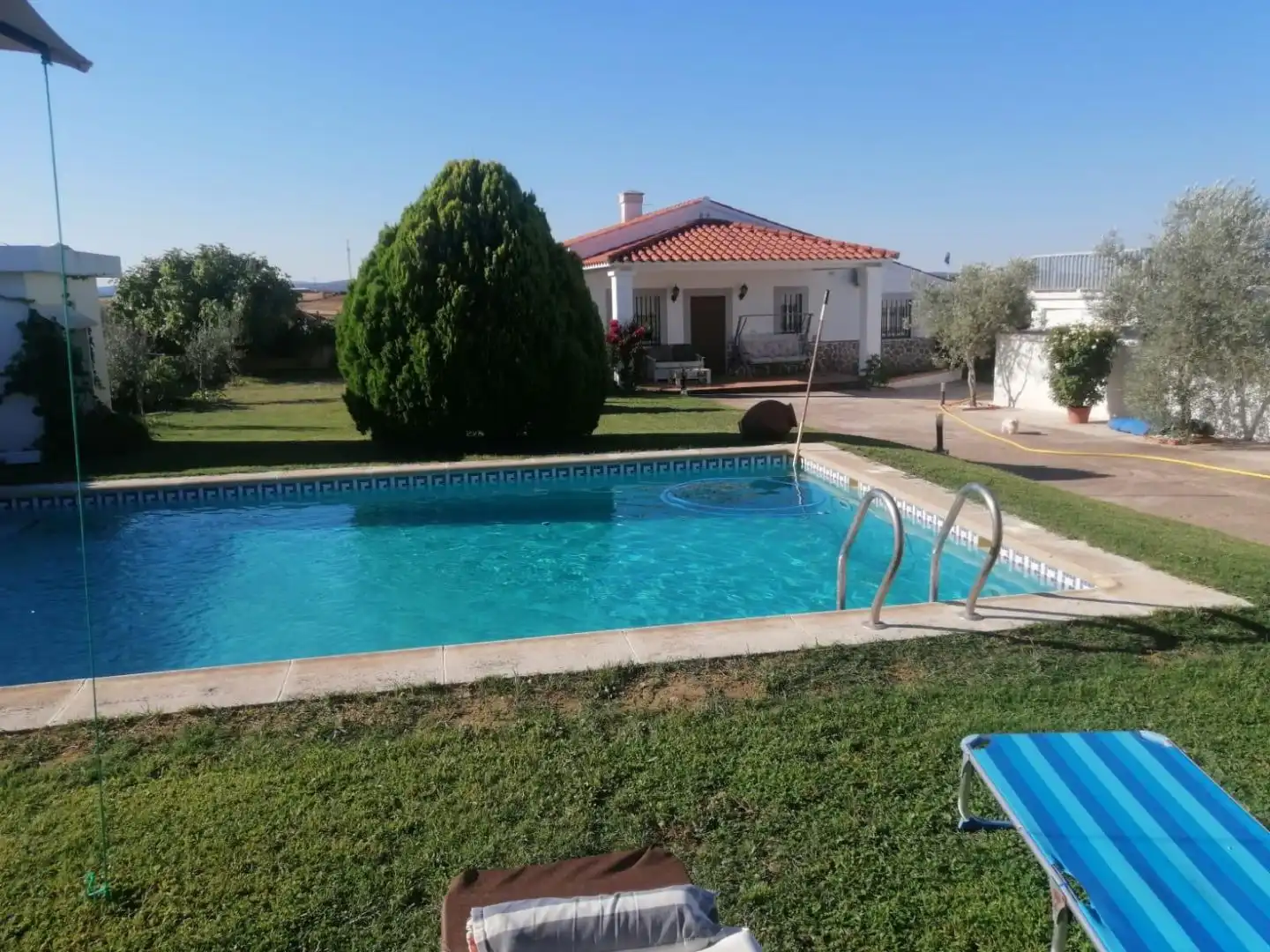 Piscina de Casa o chalet en venta en Torrecillas de la Tiesa, Cáceres