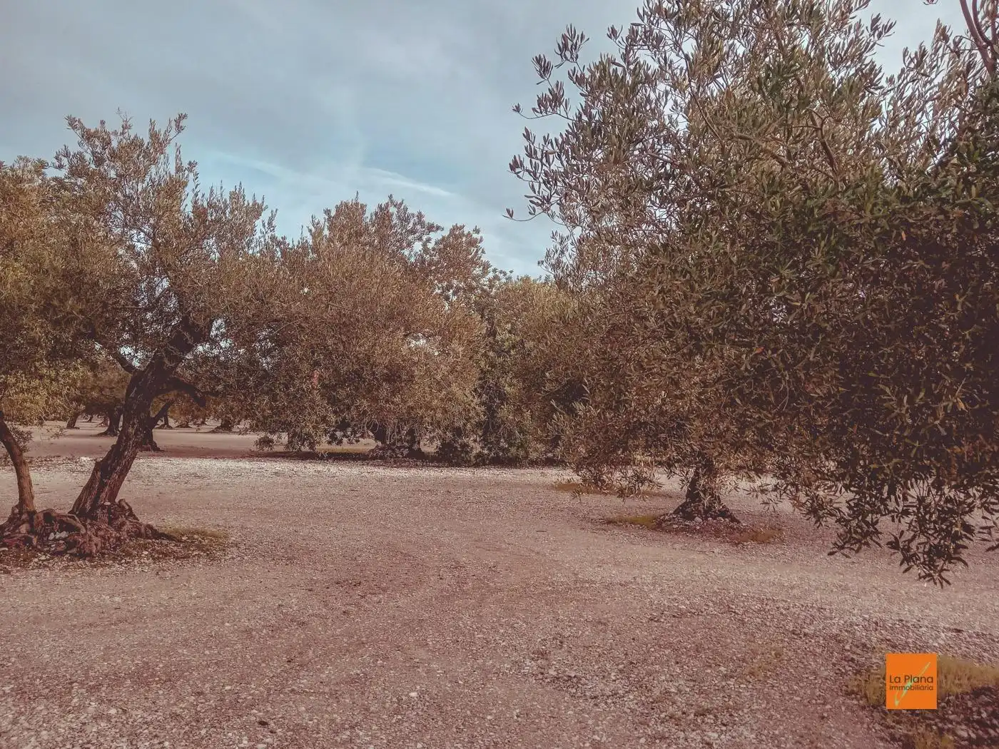 Finca rústica en venta en Santa Bàrbara