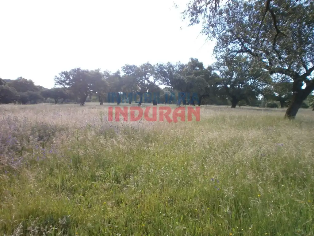 Casa rústica en venda a Malpartida de Plasencia, imagen 11