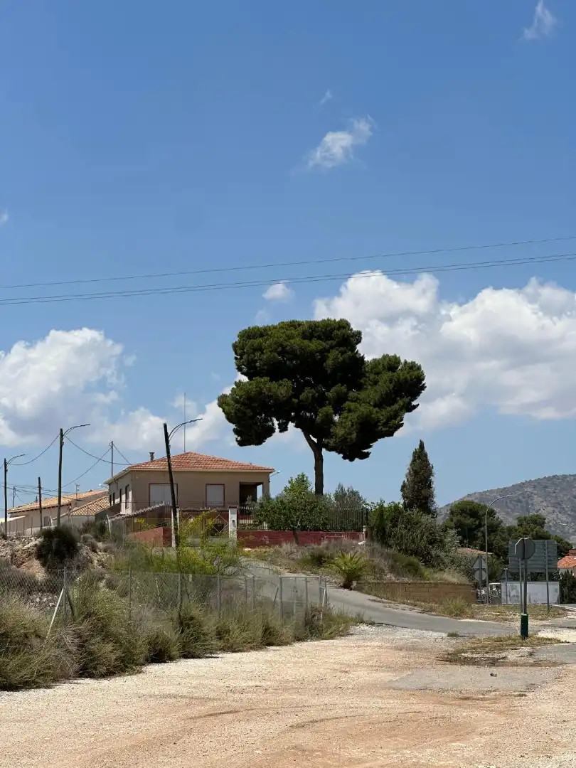 Villa avec terrasse à vendre à Carrer de la Divina Pastora 32, imagen 45