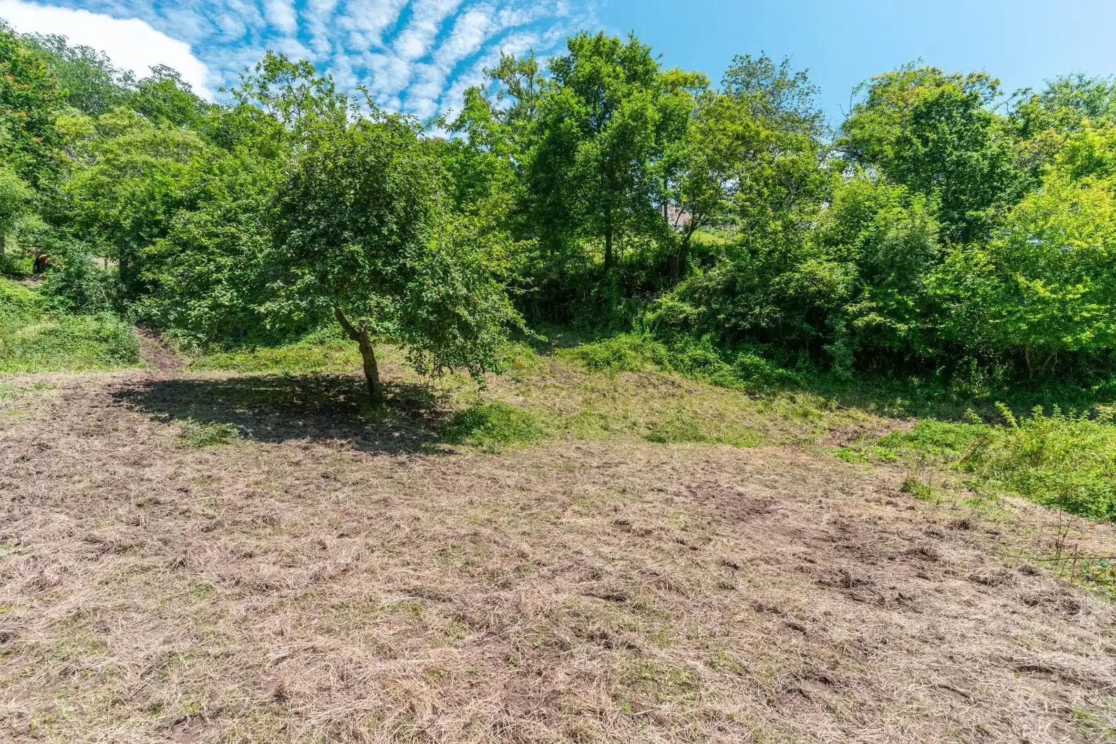 Casa o chalet en venta en Bimenes con Jardín privado