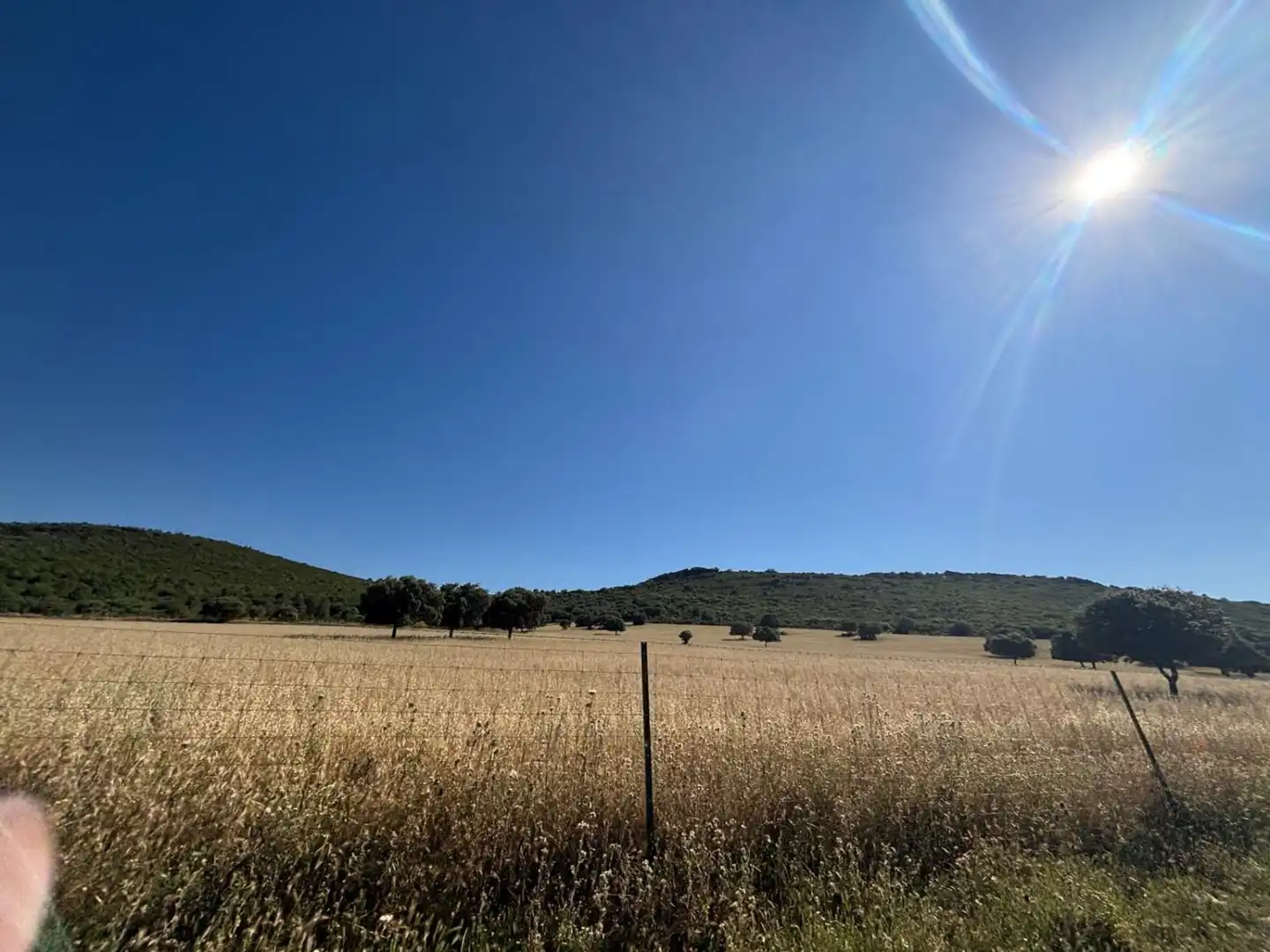 Finca rústica en venda en Ciudad Real