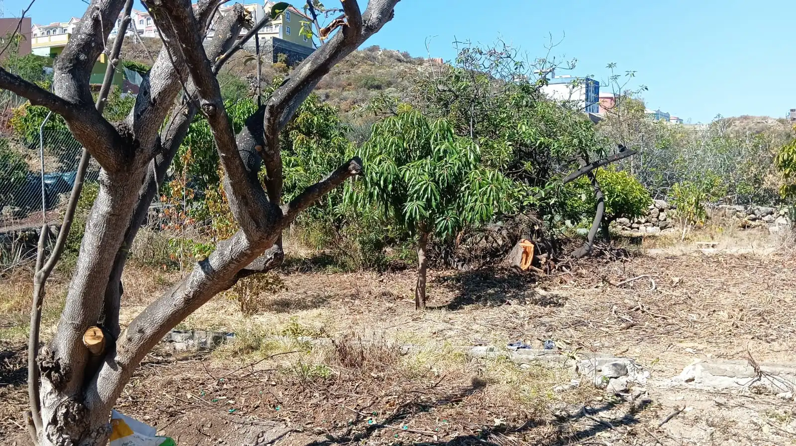 Rural land for sale in San Felipe - San Marcos - Las Cañas, imagen 16
