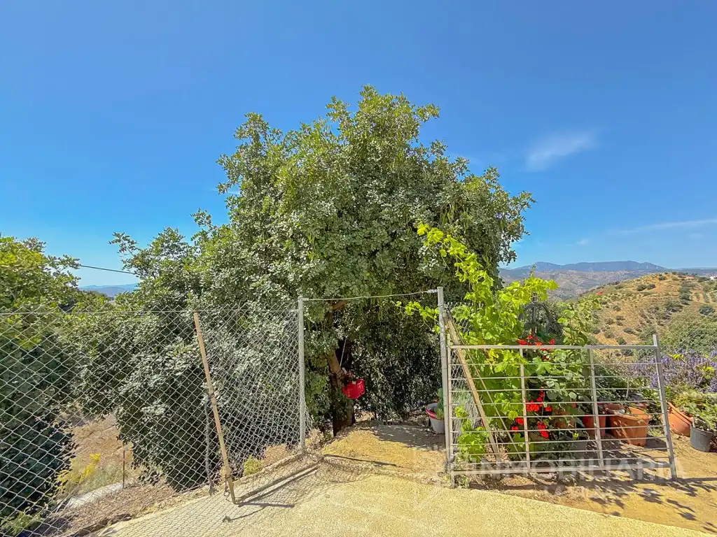 Casa rústica en venta en Poligono 2 Paraje 249 Teja, imagen 34
