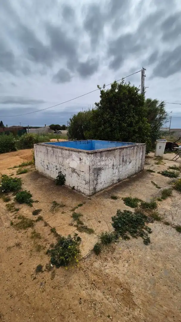 Swimming pool of Country homes for sale in Conil de la Frontera