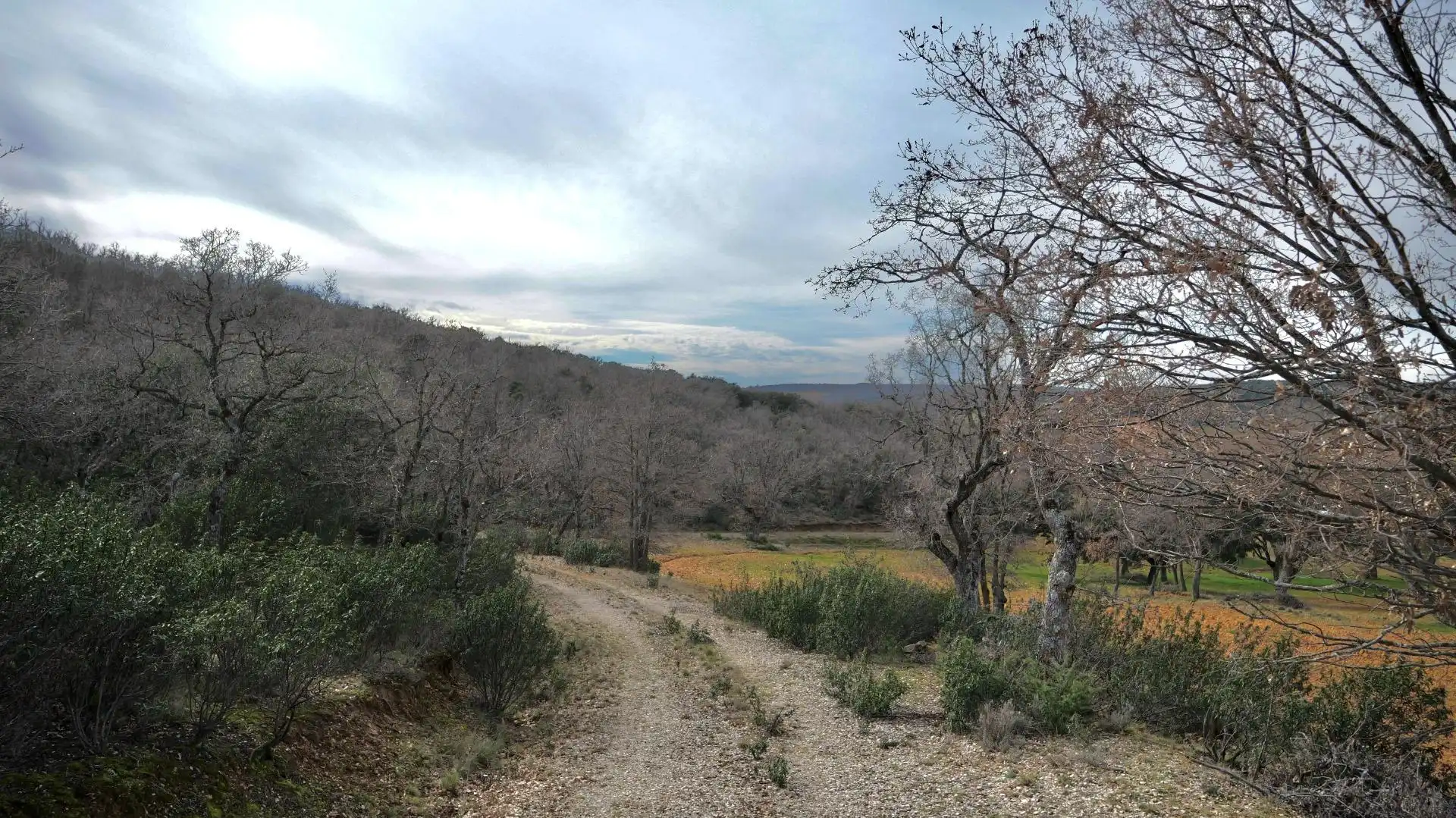 Land for sale in Arbancón
