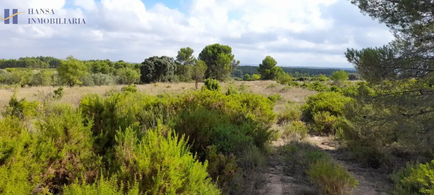 Rustikales Grundstück zum Verkauf in Requena, imagen 4