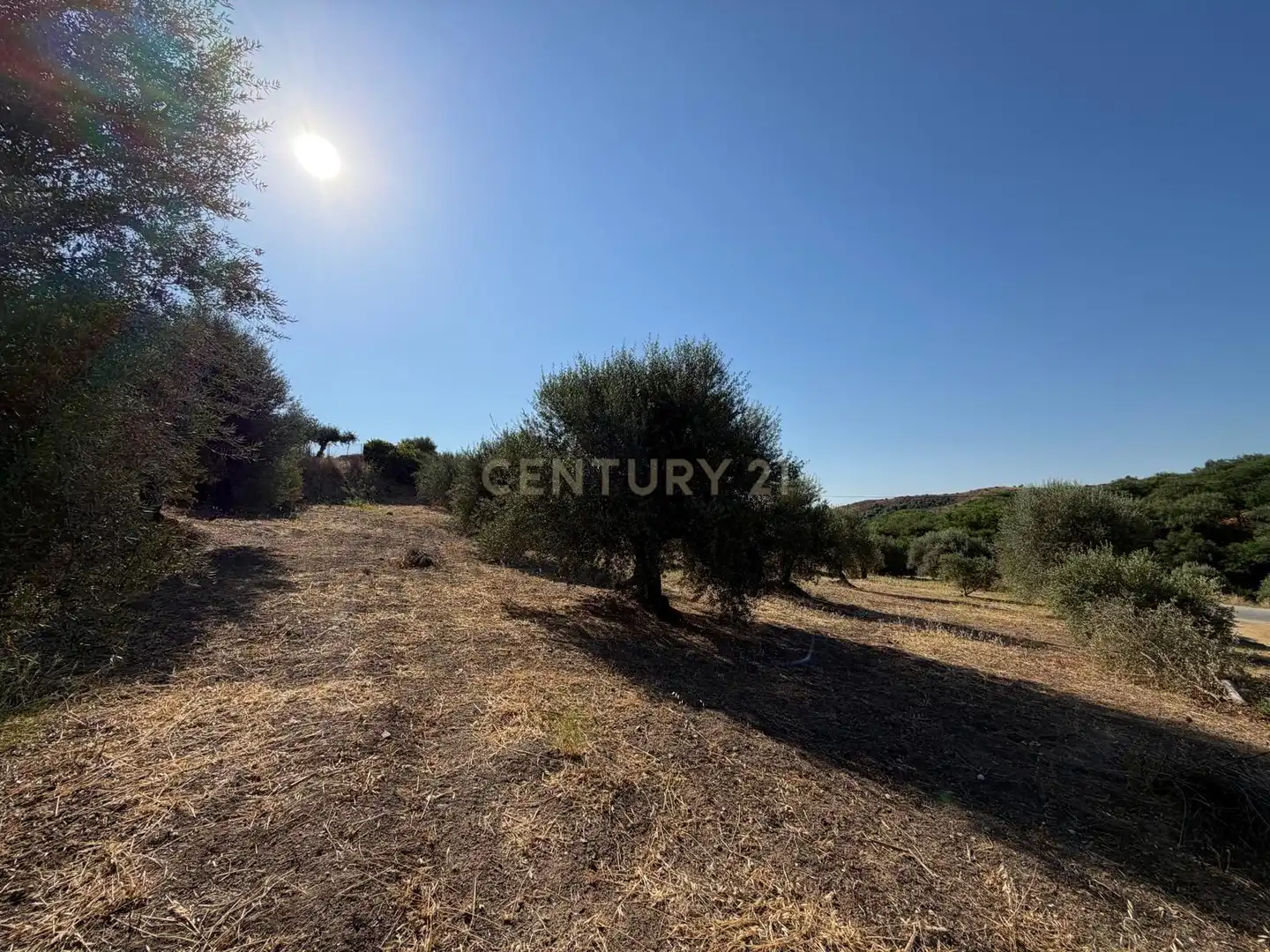 Terreni e lotti in vendita a Polígono 14 Parcela 58 ENTRE RIOS. MIJAS (MÁLAGA), imagen 9