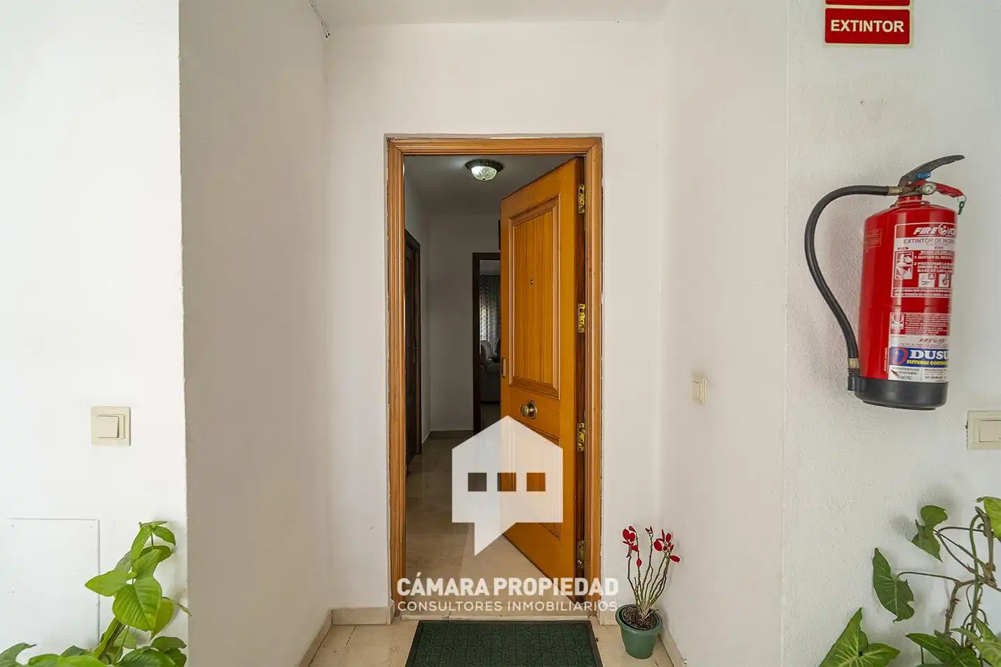 Duplex avec terrasse à vendre à Avenida Alcalde Federico Molina Orta, imagen 4