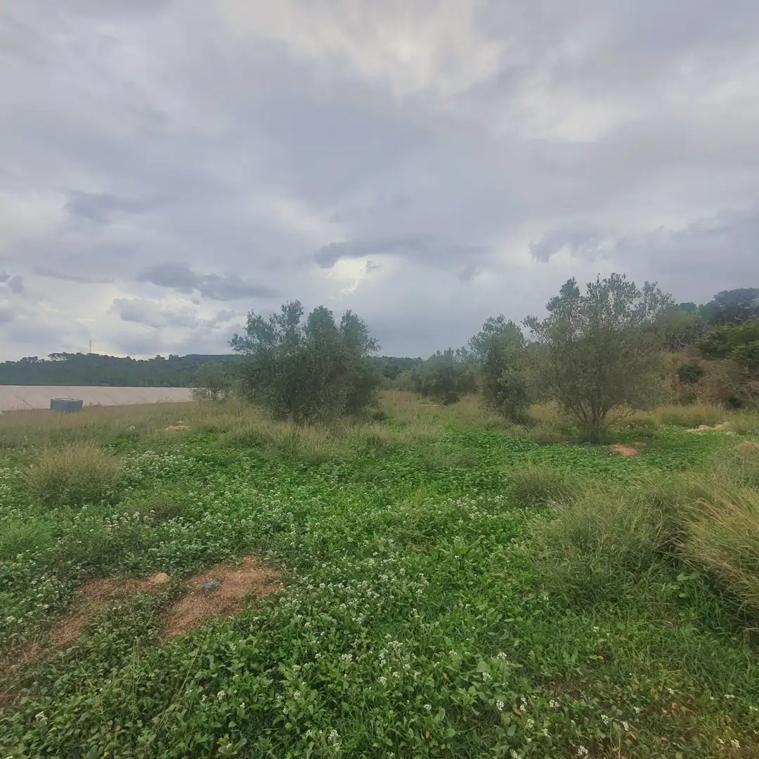 Rustikales Grundstück zum Verkauf in El Pinell de Brai, imagen 4