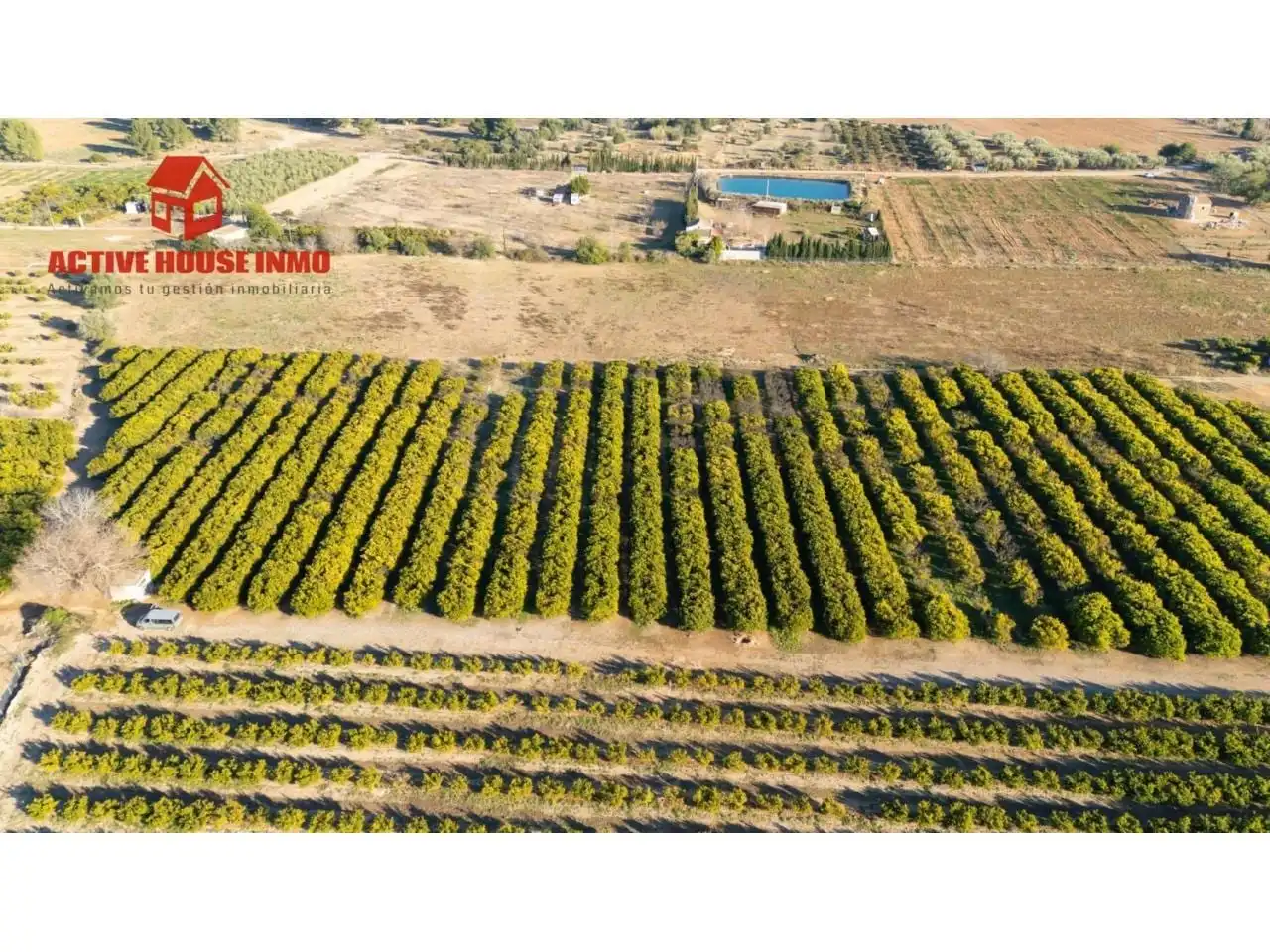 Terreno rustico in vendita a Calle Pol 12 Parc 100, imagen 16