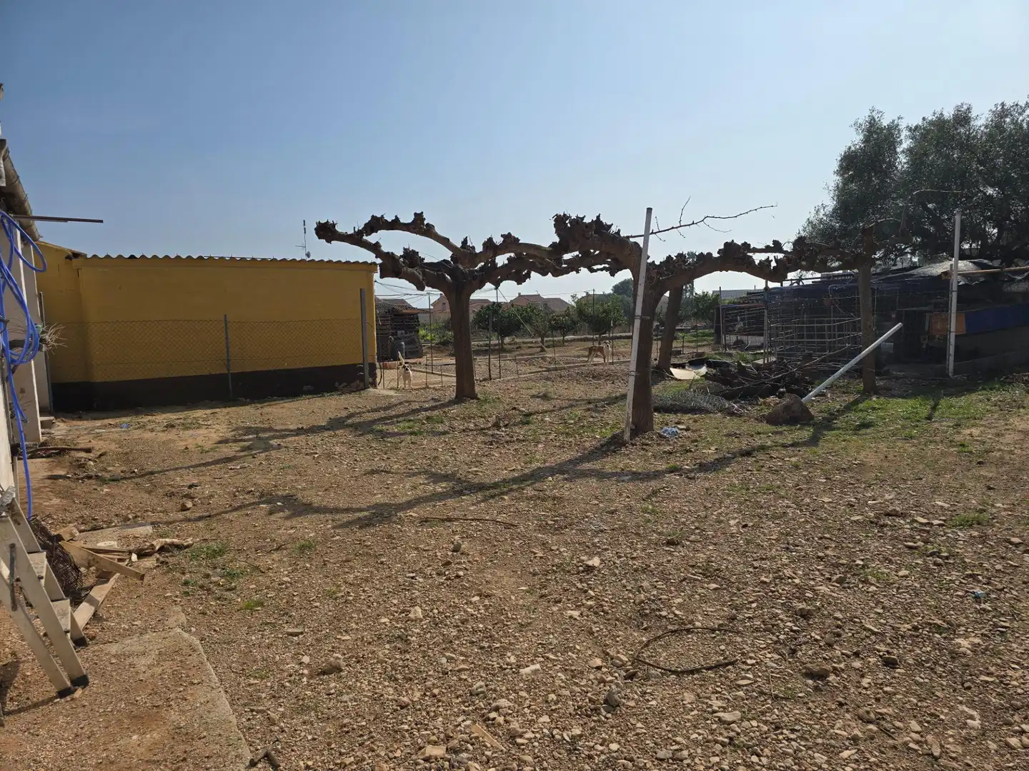 Country homes for sale in Alcanar
