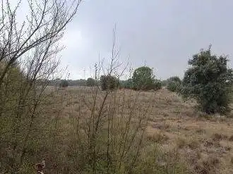 Terrenys i solars en venda a Pt Paraje Cotos, imagen 8