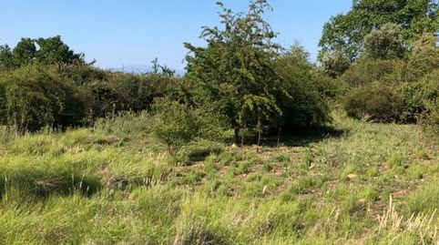 FINCA RÚSTICA - ENTRENA (), immagine 3