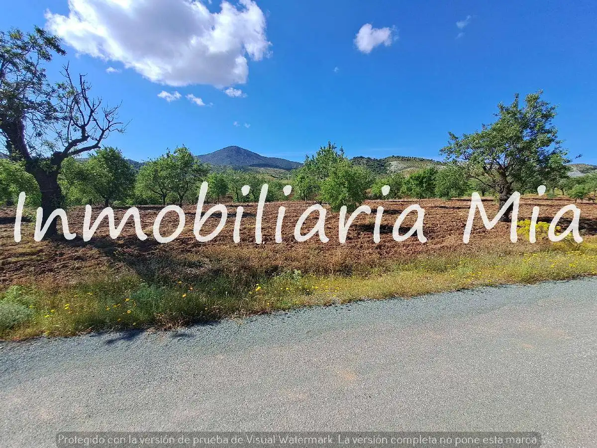 Houses for sale in Nogalte