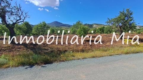 Foto 4 de Casa o chalet en venta en Nogalte, Murcia