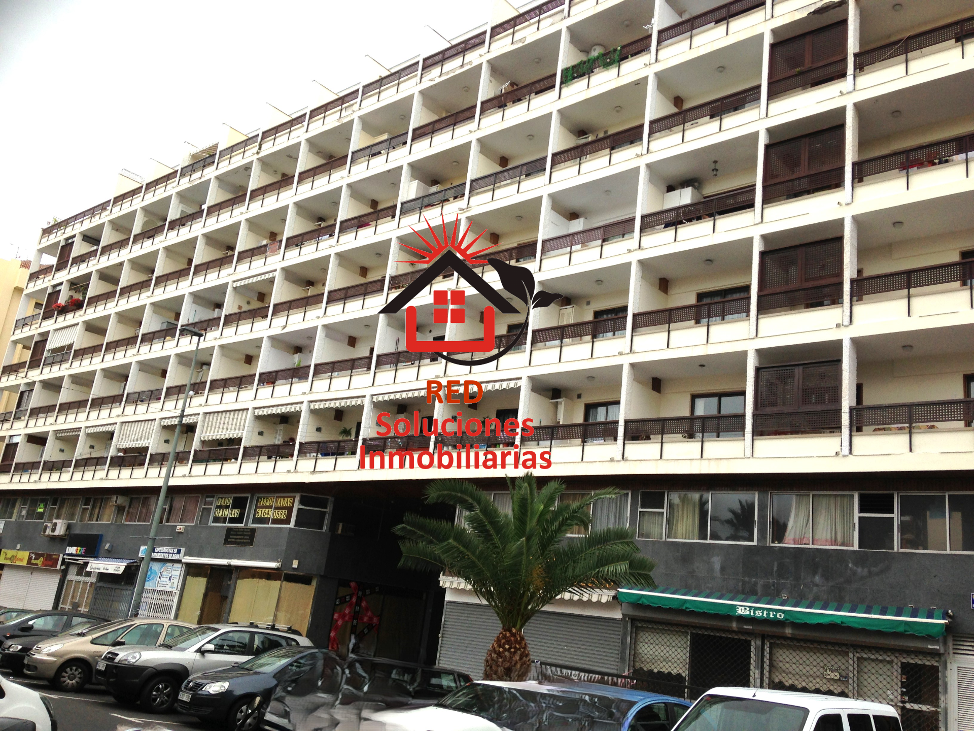 Flat to rent in Familia de Betancourt y Molina, Zona Martiánez