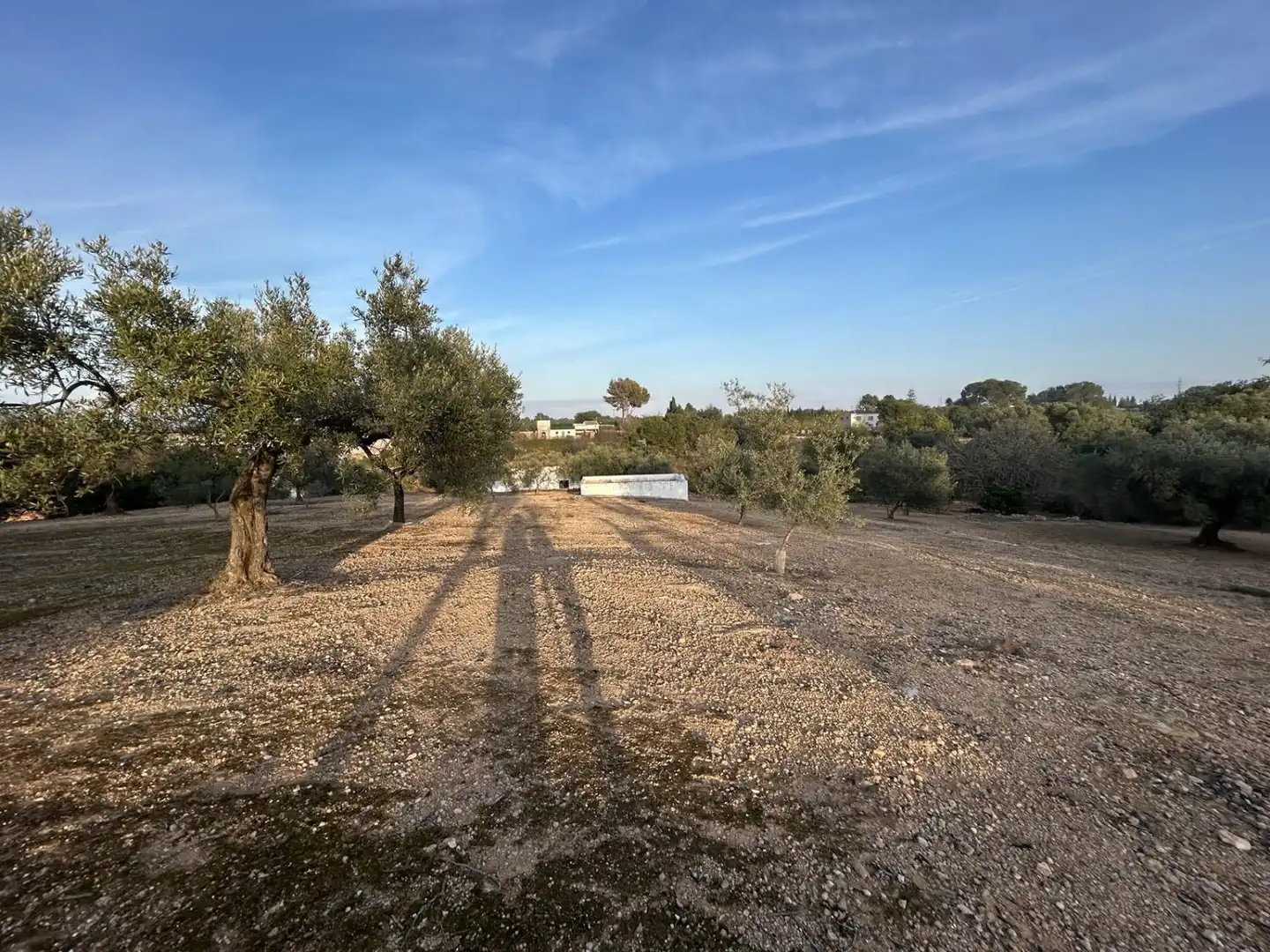 Finca rústica en venda en Masdenverge
