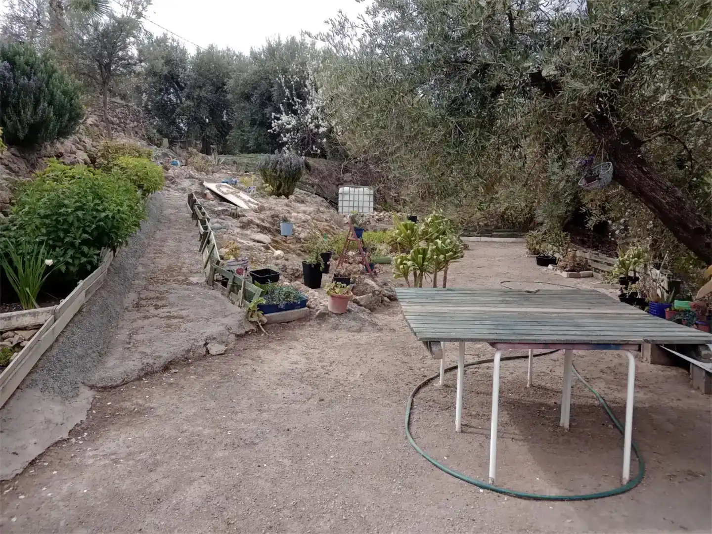 Jardín de Casa o chalet en venta en Alcolea con Jardín privado, Trastero y Amueblado