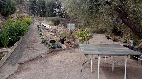 Foto 4 de Casa o xalet en venda a Calle Real, 31, Alcolea, Almería